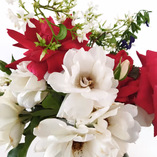 Item #87003207589931118822218281437448867168500866218263883081320957830827824119809 Media