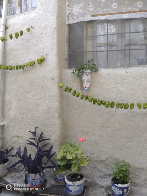 Item #53581876738018030526296833198765097323208142745183468553001527194015758286849 Media