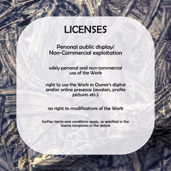 License Level 2 - Personal public display/Non-Commercial exploitation