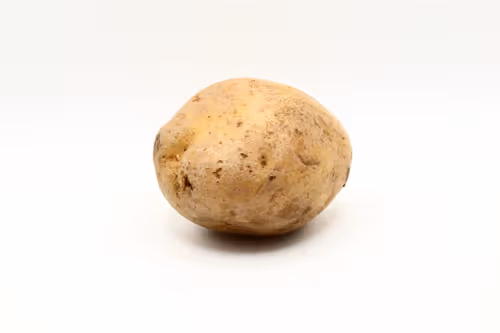 Item #97726151104522163495278545296769301934737660224123995419035737086106091388929 Media