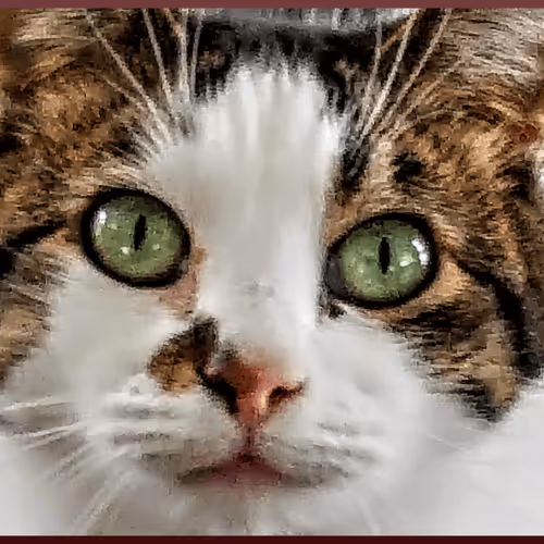 Item #56426290564267106691377508710148241493940243654348747638669587222793891610633 Media