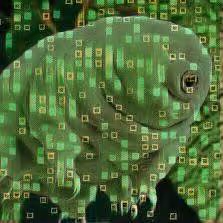 Item #55925376742051813904896437182867828164130329341764261009033723758853996150785 Media