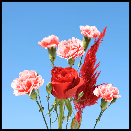 65735283901235411095565859455791530090015704811558660765095343390800480305251