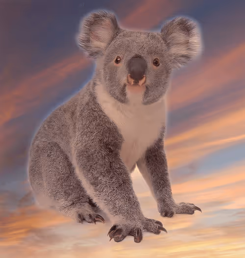 Item #75086745474347274452093740593438062832653814310012917017256883099026472304641 Media