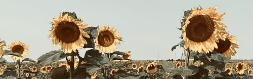 Item #4815288575693755657548734875435737695765998381982163968810255468785947377665 Media