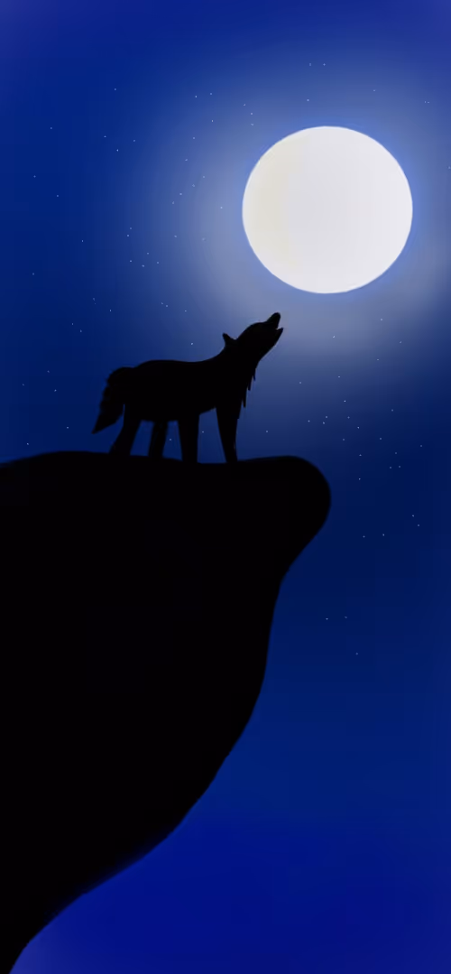 Item #91563655524869301867222133366028933161297377757516492463401628036415518408705 Media