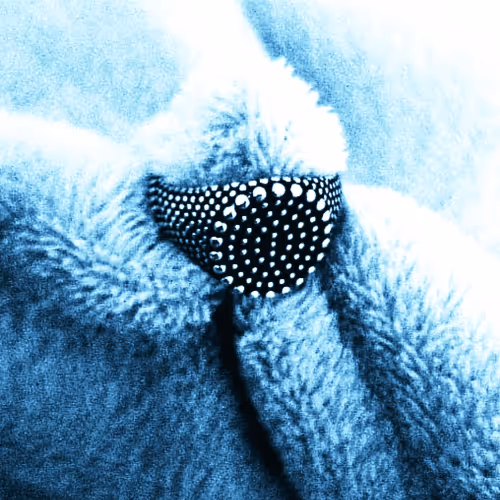 111740150065429106308090261453974378695456672278358301364555177804187066957825