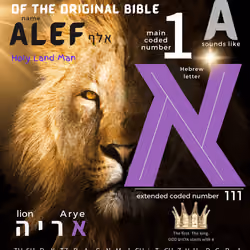 Letter-Alef T3 #80/111 Hugry Lion Winning Purple