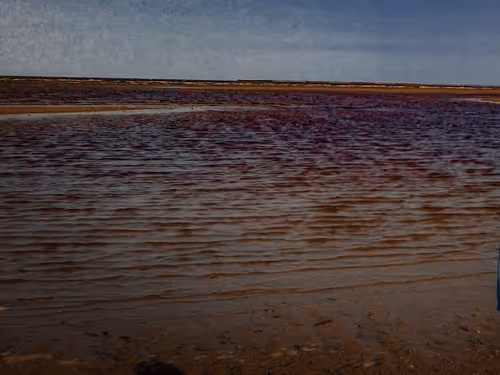 Item #71898613365774394208486532838091089742538987578281713843542554839186594070529 Media