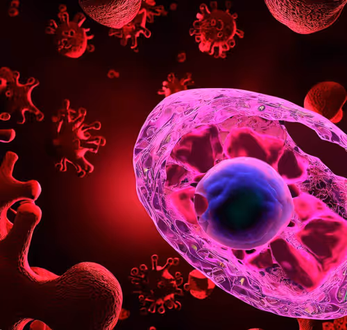 Item #15900858524274065462397165605509062893973264951757804275935713275243566989313 Media