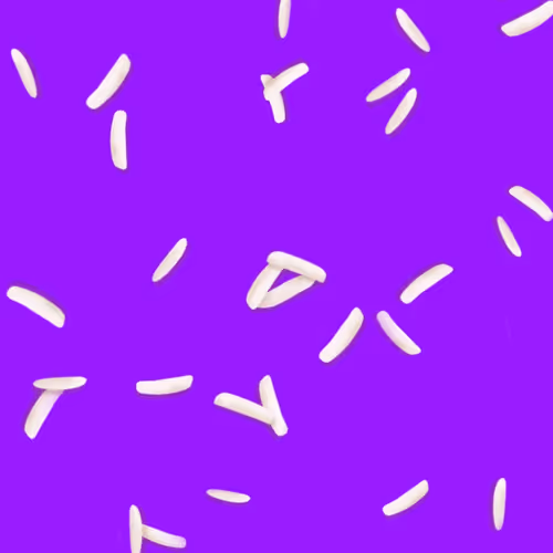 Ricegrains Zip7F9vsae