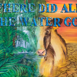 Where did all the Water Go?