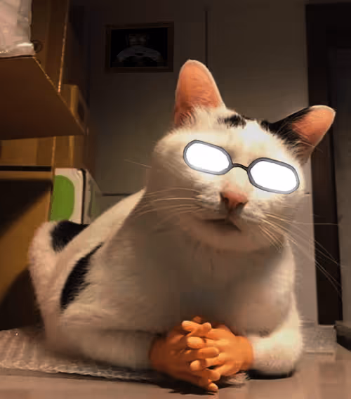 Item #45896786333772457864890139034213055998340757075327429099386437304510354292741 Media