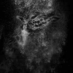 97390858549290517915673057044451120522321858296040786888435299426513073471498