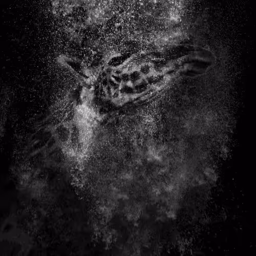 97390858549290517915673057044451120522321858296040786888435299426513073471498