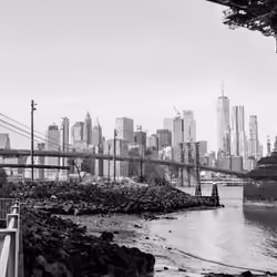 Bridges from Dumbo