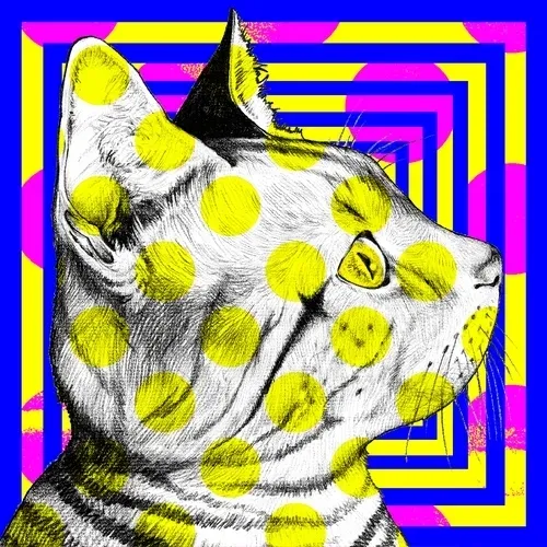 75504568957216009271532412225991883014141589967078103544589205096691004342273