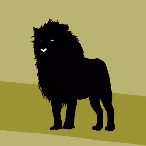 Item #23719157219344405114565846685502868048607638057936986317710031267664618323969 Media