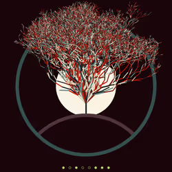 74168867016011539093366687608765447348507224284888477074887988625862620610561