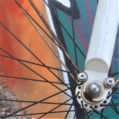 Item #51107028403931991835329534031498650772266658764783547759528015654142624137217 Media