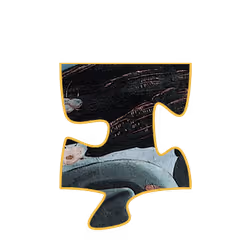 75422050829207020223155639576581706124142298038255743959433826742867727482881