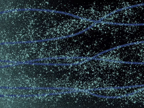 Item #31921422039352641900079663034183957298850385792037610621350543347297231568897 Media