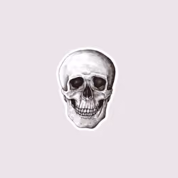 The Original Skull