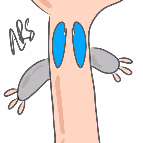 114148330580186833190483180509458686214946127132736554821290459226085194203146