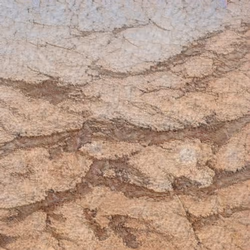 Item #58241160855422744817468407088196322100109565521561100950236908612426064199681 Media