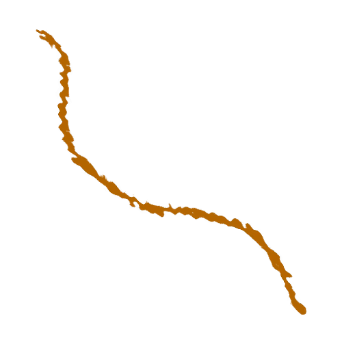 Item #20205123590063296895540447505244684998386059841524943892873659466103214047233 Media