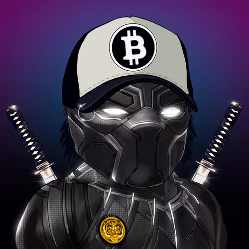 31576362714804808278877633130737282526700332116321035465056969074987497422849