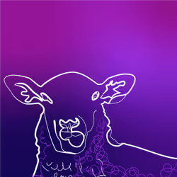 Bored Sheep Solo - With Premium Purple BG #04