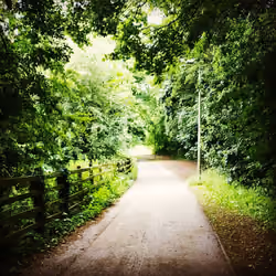 The path 2021