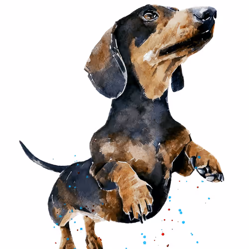 Item #15308155937593783866228062712704217529335676444312394672786838651309228294149 Media