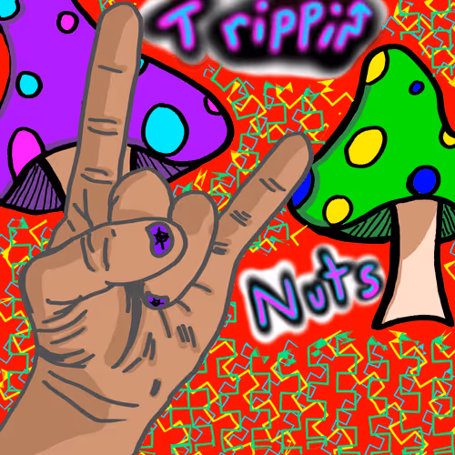 28200432311951513172375367357605204016895167830193812084039580246496990199809