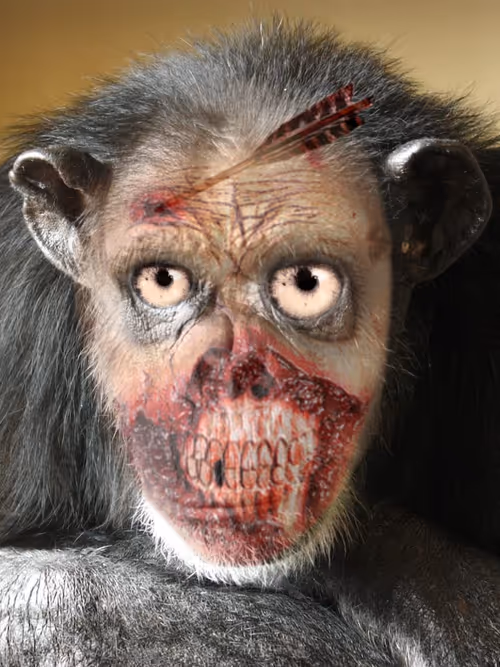 Item #58260198782654195468413891163652142906828885851206301776881640294567892746241 Media