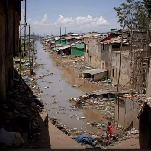 Sandywall26 Collection