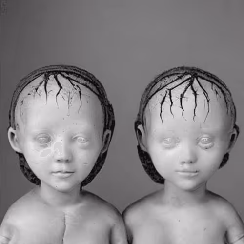 Item #37175090438685888076520428219795741976852717995957701747864694771710504730625 Media