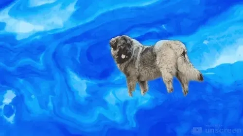 Item #4997142466582182318668611154886069710571188858677976720780453188946047795201 Media