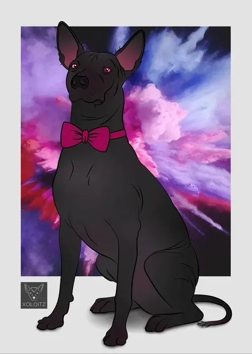 Item #115412186582648874764752321087999128692557907064492986516876109646943823593473 Media