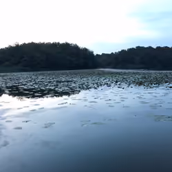 naturebyzixiQ #39