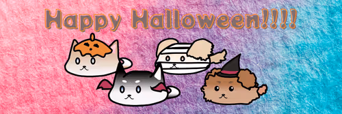 88875345514437787677718552371715619423143326493736760888685371961565243244554