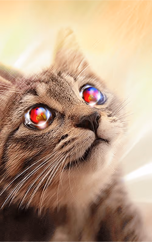 Item #58463189589733520168739816096332050439681193158488433899624995435181921796099 Media