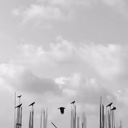 Be different 