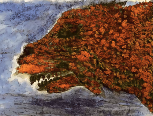 Item #59134823550596979964953959266875194704433400244529019100266578606542670528612 Media