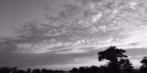 Item #65470765898726229089938849737615448520831826542233777278797913489635448717400 Media