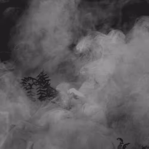 24545568504354300633593058674469301359110780642168040344765706381089491124274