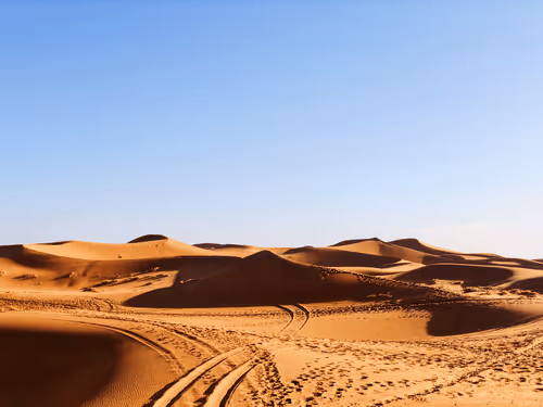 Item #93830154749716828743189394617161105712765095848897900338139654628226180841473 Media