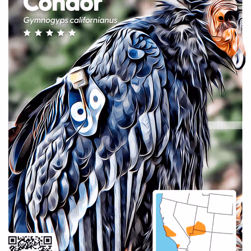 26102390610025884852824728088708208703251930988161684574571712840693092188161