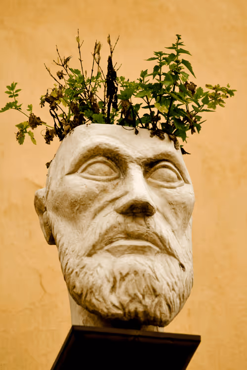 Item #72771752724512834897841148734331697196499953349916527017693403099277668909156 Media